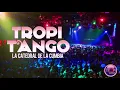 NO ME ABANDONES - LOS AVILAS❤️TROPITANGO❤️