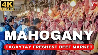 Download [4K] TAGAYTAY'S MOST FAMOUS BEEF MARKET | Mahogany Beef Market \u0026 Bulalohan Walking Tour MP3