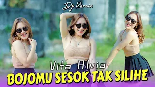 lagu yang kalian cari vita alvia bojomu sesok tak silihe dj remix official mv aneka safari 