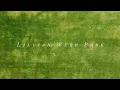 Lillian Webb Park Norcross GA USA 4K U Cinematic Drone