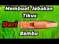 Download Lagu Cara membuat jebakan/perangkap tikus sederhana dari bambu