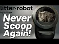 Whisker Litter-Robot 4 Review Setup Tutorial and Why It s the Best Automatic Cat Litter Box