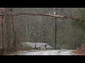 Thousands lose power as storm takes down trees statewide