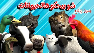اغنية شو بيحكوا الحيوانات بدون ايقاع     اغاني اطفال بون بون دندنها