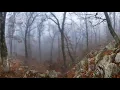Sibelius - Symphony No 6 in D minor, Op 104 - Osmo Vänskä - Lahti Symphony Orchestra