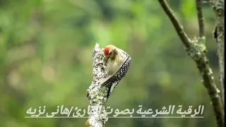 الرقية الشرعية بصوت القارئ هانى نزيه 