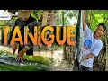 Download Lagu P1 - Binigyan Kami ng Malaking Tanigue ng Raptor Boys - EP1991