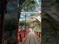 Download Lagu Pantai Menganti-Kebumen #pantai #menganti #video #shorts #short #shortvideo #motivation #kebumen