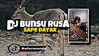 dj bunsu rusa x sape dayak reformanda x dj hafidz viral tiktok