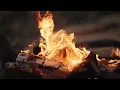 ギリシャ神話のすべての恋物語 (ミュージアム版)