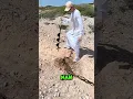 Download Lagu Hij vond olie in de woestijn 🛢️🏜️ (@Wood_Mood) #shorts #shortvideo #olie