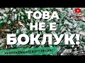 Живот след кошчето: СТЪКЛОТО - ВЕЧНИЯТ ПЪТНИК | част 1