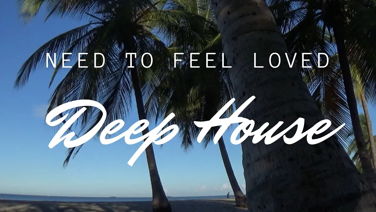Need to Feel Loved Adam K Soha Vocal Mix #relaxing #dj Need to Feel Loved Adam K Soha Vocal Mix #relaxing #dj
