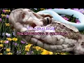 Count the ways · The Last Dinner Party · [Karaoke] [Instrumental Lyrics]