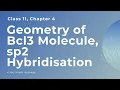 Geometry of Bcl3 Molecule sp2 Hybridisation Class 11