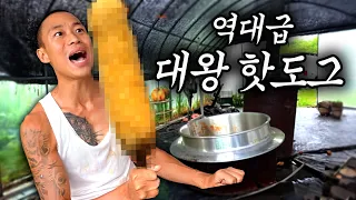 [대왕 핫도그] 비주얼 실화?? 세상에서 제일 큰 핫도그ㅋㅋㅋㅋ