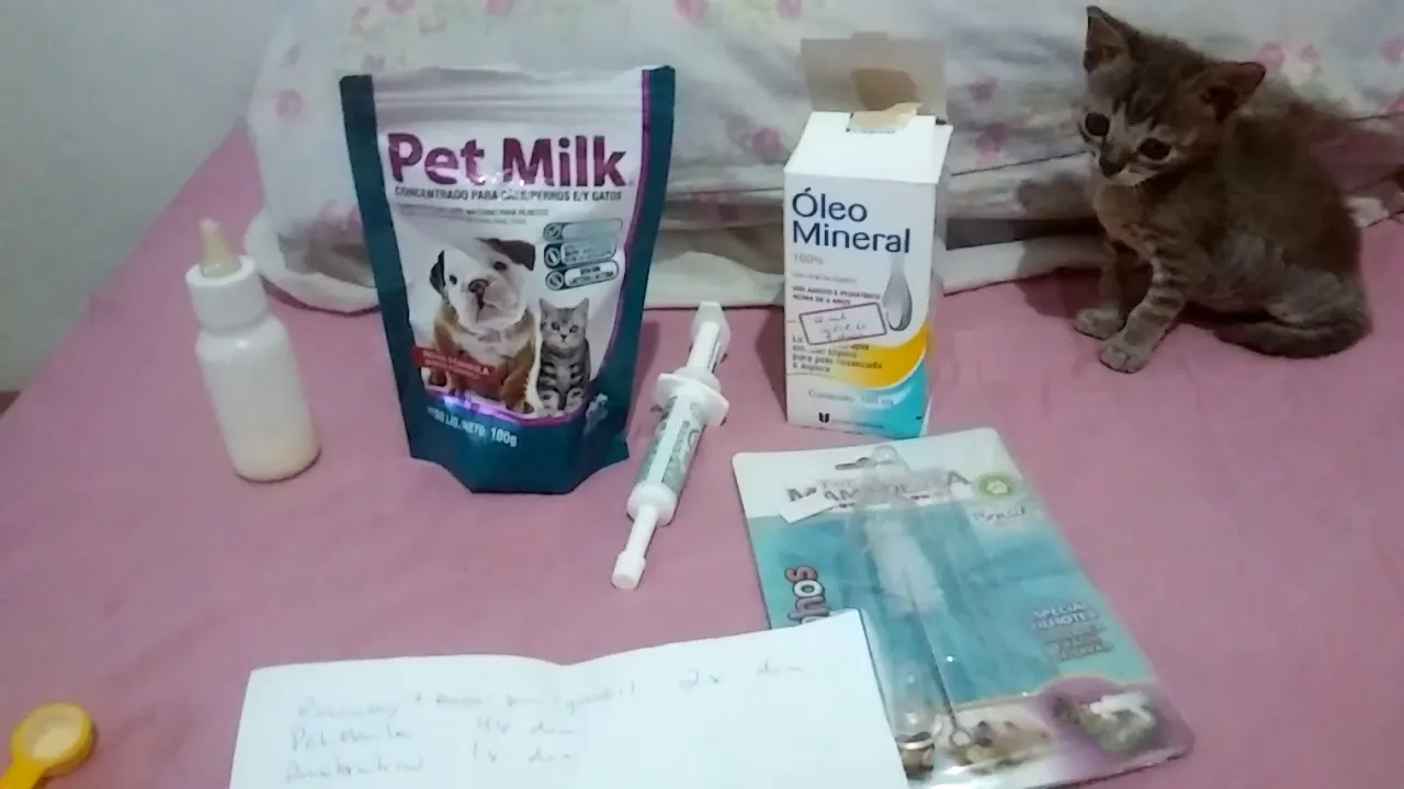 Como ajudar desempedrar o leite  sua gatinha sem gastar dinheiro.. 