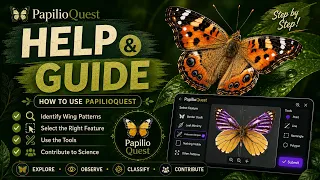 Learn how to use PapilioQuest step by step