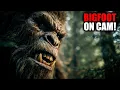 Download Lagu Bigfoot Stalks Campers: A Night They’ll Never Forget