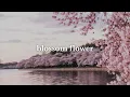 다 핀 꽃 / blossom flower (rothy) | cover