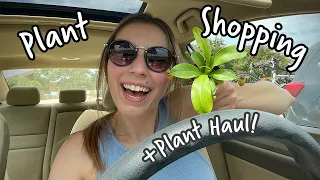 Come Plant Shopping with me at Ted Lare Garden Center Hoya Philodendron Monstera and more