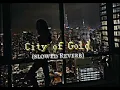 City of Gold (Slowed Reverb) - Nirvair Pannu Full Song Deep Royce | Punjabi Songs Slowed and Reverb