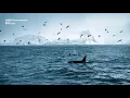 Klangstof - We Are Your Receiver (GHIZ reshape)