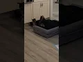 dustyanddottie