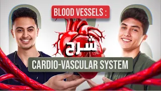 anatomy Blood vessels (CVS system) - تشريح الاوعية الدموية للكليات الطبية