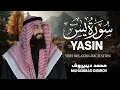 Lagu سورة يس  ❤️ || تلاوة هادئة بنبرة جميلة و خاشعة 😴 القارئ محمد ديبيروف | Surah YaSin  Muhammad Dibirov