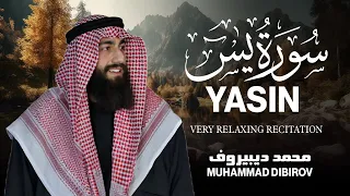 سورة يس تلاوة هادئة بنبرة جميلة و خاشعة القارئ محمد ديبيروف Surah YaSin Muhammad Dibirov  سورة يس تلاوة هادئة بنبرة جميلة و خاشعة القارئ محمد ديبيروف Surah YaSin Muhammad Dibirov