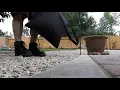 Harbor Freight Portland mulcher