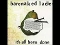 Bare Naked Ladies - Its All Been Done (432Hz)