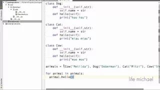 Polymorphism in Python