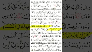 سورة البقرة 142 145 مكررة للحفظ 