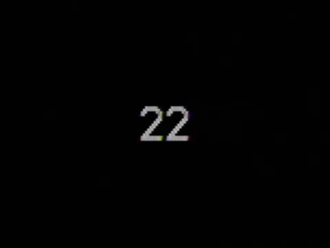 AVES 22