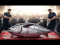Download Lagu Monster Tuna vs Master Blade — Who Wins? ⚔️ #BluefinTuna #EpicCatch #SeafoodSkills