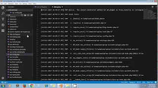 Debugging WordPress - How To Use WP