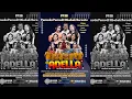 Download Lagu Semarak HUT RI ke-80 PPSB (Pemuda Pemudi Sibelok Bersatu Bersama: OM ADELLA (The Real Dandut Koplo)