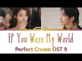 Sam Kim 'If You Were My World' Perfect Crown OST 9 Lyrics