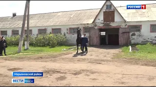 «Вести Омск», итоги дня от 21 мая 2021 года