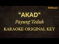 Payung Teduh - Akad (Karaoke version - no vocal | Original key)