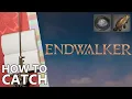 How to Catch Red Bowfin in FFXIV for Moonlight Aethersand