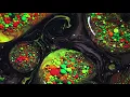 Delv!s - Rebelman (Faisal Remix) (Official video)
