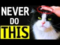 Download Lagu What Cats HATE Most – 9 Things Worse Than Being Picked Up!