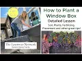 How to Plant a Window Box Detailed Lesson For Sun Container Gardening