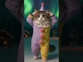 Download Lagu Cat dance ~ Duri Duri dum dum Duri Duri dum #adoreble #catlaughs #catperson