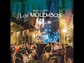 Seguir Viviendo Sin Tu Amor