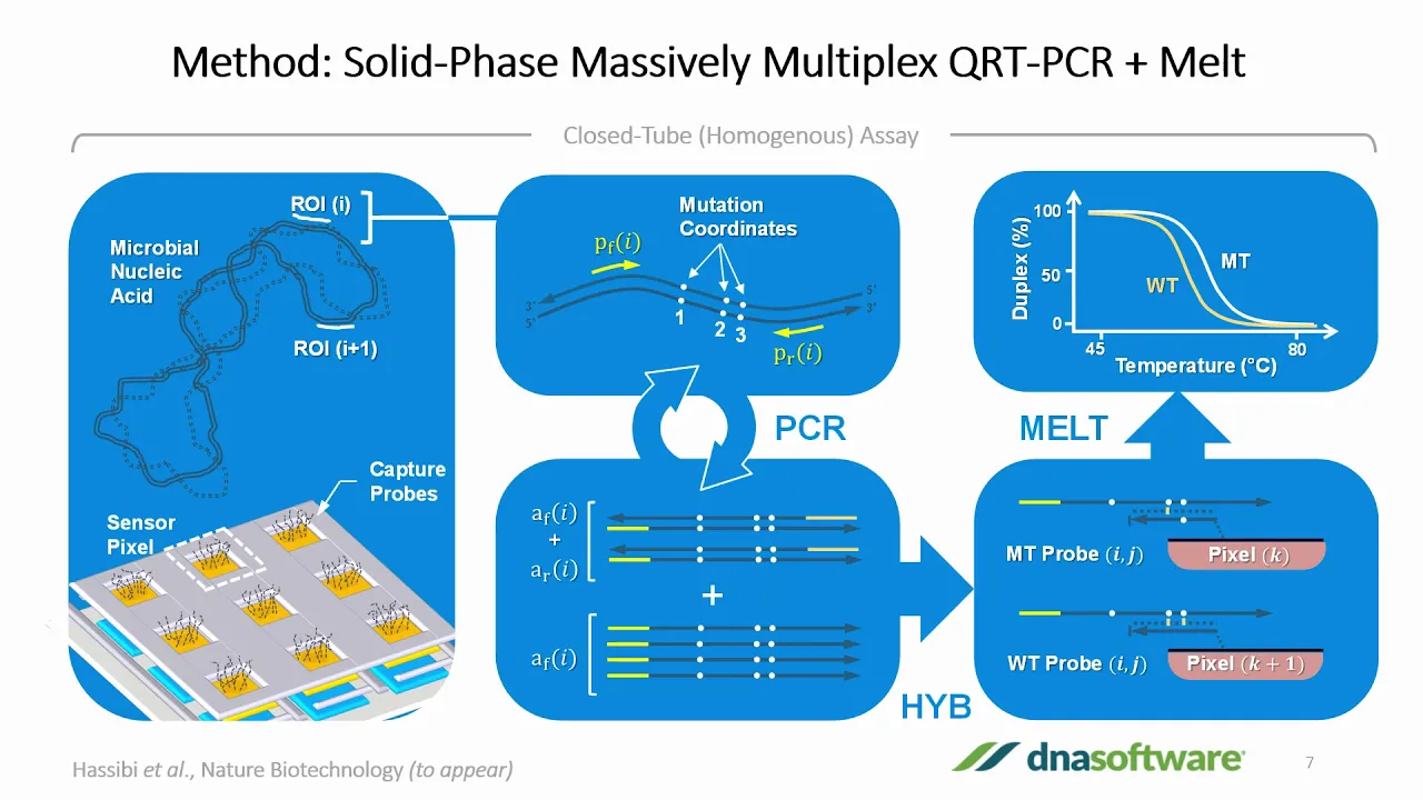 Multiplex PCR Assay Design Made Easy