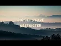 [1 Hour] Restricted - Big Jet Plane
